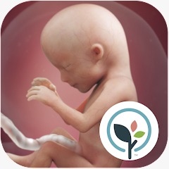 تطبيق حملي اليوم BabyCenter 2024