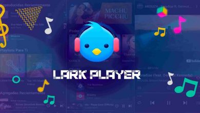 تطبيق Lark Player