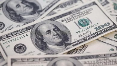 أهم عادات المتداول الناجح في سوق العملات Easymarkets