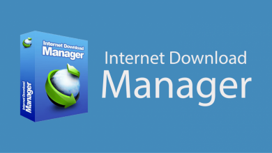 برنامج Internet Download Manager